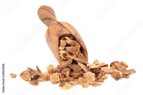 Photo: Chicory Root Chicory Root