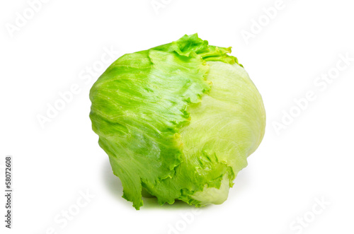 Photo: lettuce lettuce