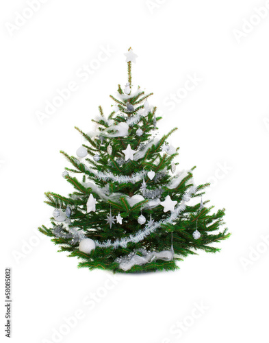 Photo: white christmas three white christmas three