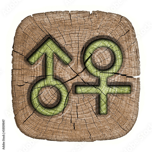 Illustration: Male and female signs, wooden label Male and female signs, wooden label