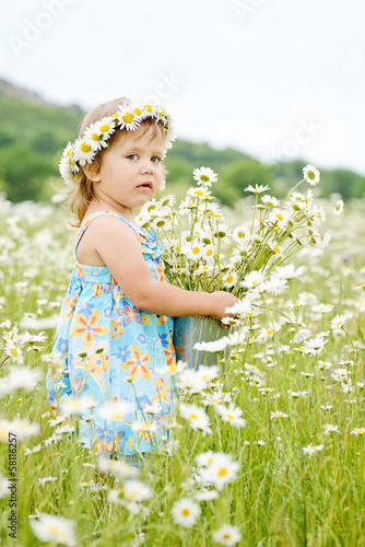 Photo: daisy day daisy day