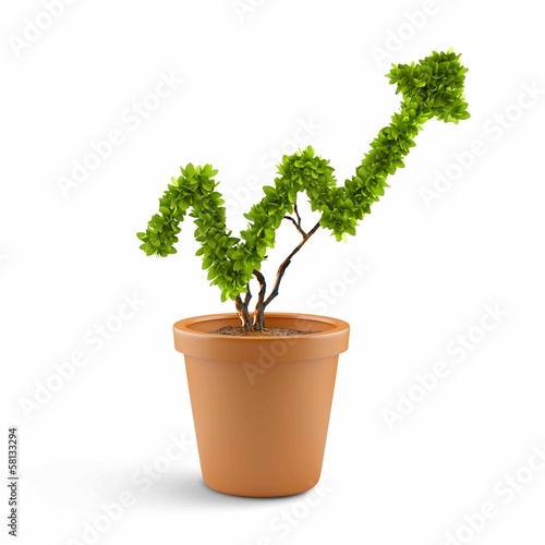 Photo: Growth concept Growth concept