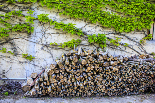 Photo: Fire-woods by ivy wall Fire-woods by ivy wall