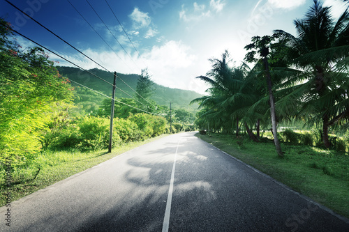 Photo: empty road in jungle of Seychelles islands empty road in jungle of Seychelles islands