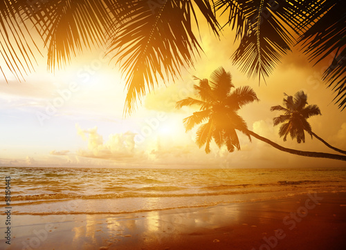 Photo: sunset on the beach of caribbean sea sunset on the beach of caribbean sea