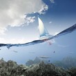 Yachting sport Yachting sport