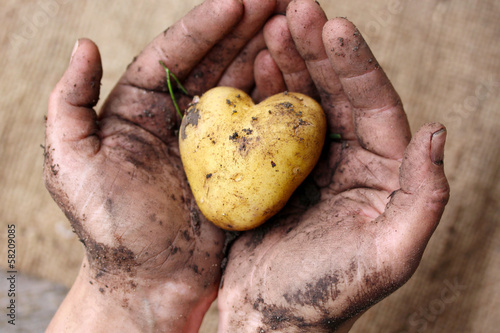 Photo: Aus liebe zur Landwirtschaft Aus liebe zur Landwirtschaft
