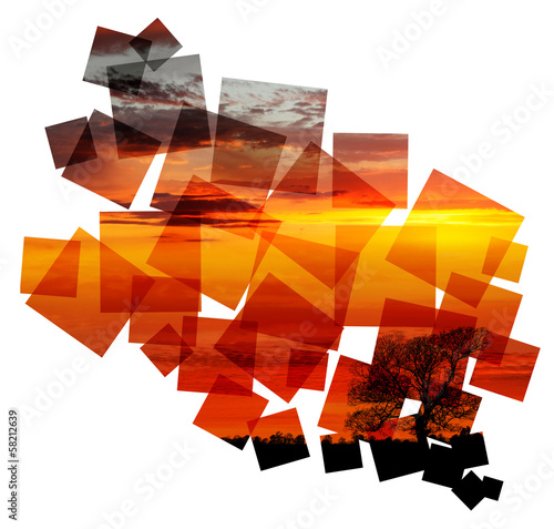 Photo: sunset tree collage sunset tree collage