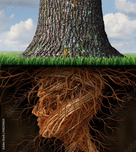 Illustration: Take Root Take Root