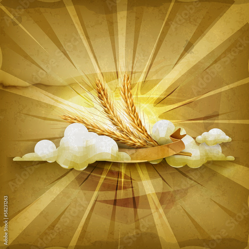 Vector: Ears of wheat, old style background Ears of wheat, old style background