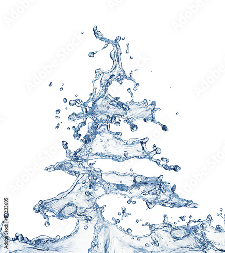 Photo: Christmas tree water Christmas tree water
