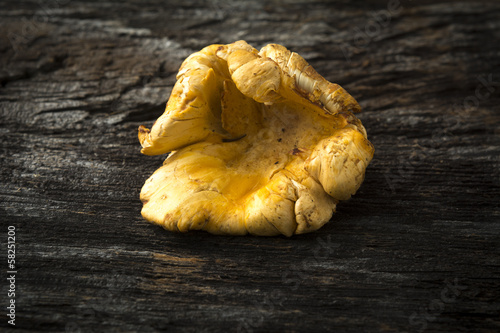 Photo: Chanterelle Mushroom on Rustic Wood Chanterelle Mushroom on Rustic Wood