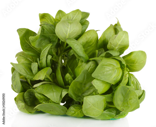 Photo: Green fresh basil isolated on white Green fresh basil isolated on white