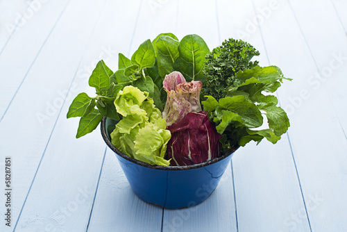 Photo: Salad Salad
