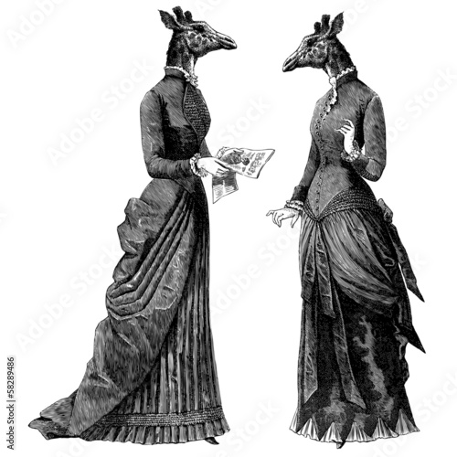 Vector: 2 femmes girafe 2 femmes girafe