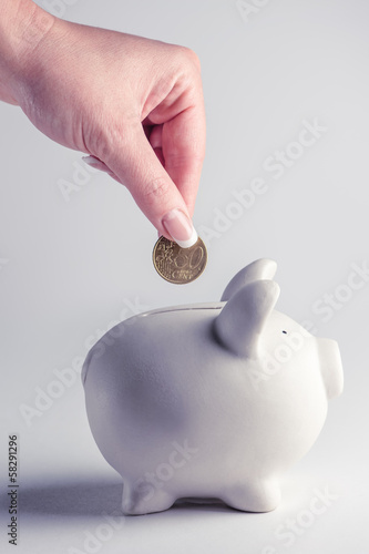 Photo: pig pig