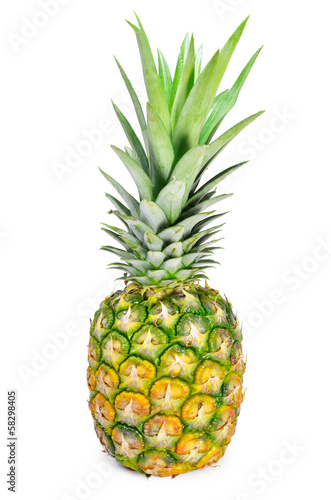 Photo: pineapple pineapple