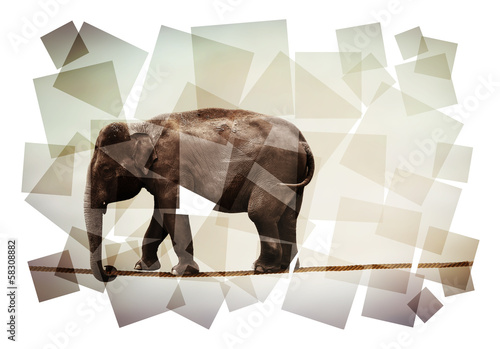 Photo: elephant on rope abstract elephant on rope abstract
