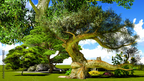 Illustration: Japanese garden in the spring time Japanese garden in the spring time