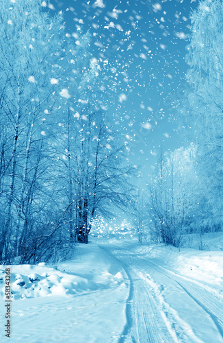 Photo: Winter season Winter season
