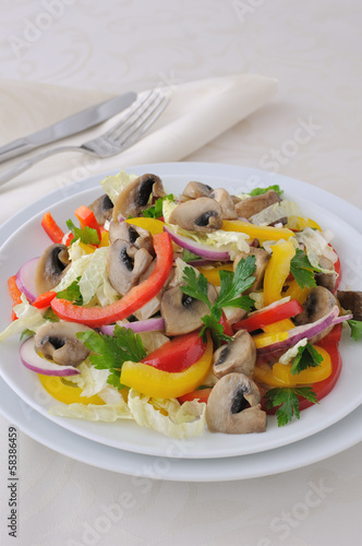 Photo: Vegetable salad with mushrooms Vegetable salad with mushrooms