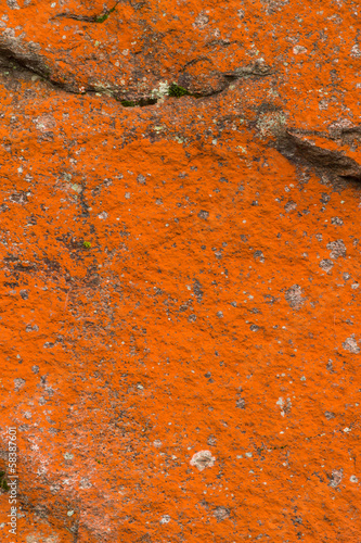 Photo: Abstract rocks closeup with various red lichens Abstract rocks closeup with various red lichens