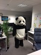 Help the Panda Help the Panda