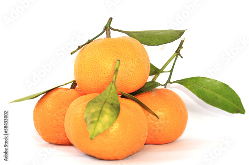 Photo: Group of orange anf leaves Group of orange anf leaves