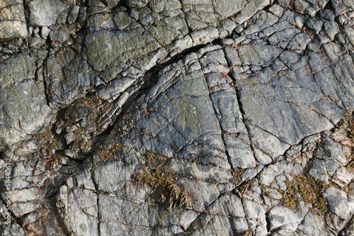 Photo: Close up of weathered granite rock on the beach Close up of weathered granite rock on the beach