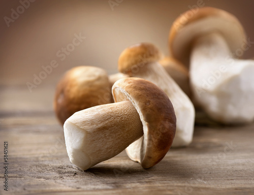 Photo: Mushroom Boletus over Wooden Background. Autumn Cep Mushrooms Mushroom Boletus over Wooden Background. Autumn Cep Mushrooms