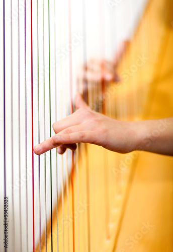 Photo: Male hands playing harp Male hands playing harp