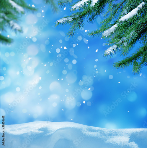 Photo: winter background winter background