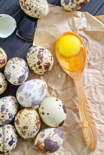 Photo: quail eggs quail eggs