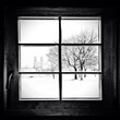 Through the window Through the window