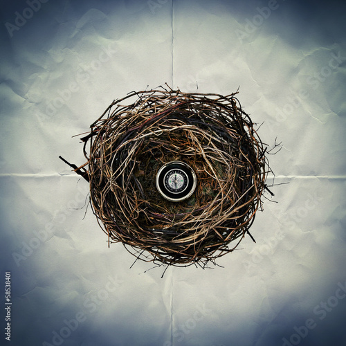 Photo: compass nest paper backdrop compass nest paper backdrop