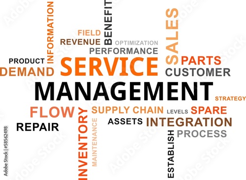 Vector: word cloud - service management word cloud - service management