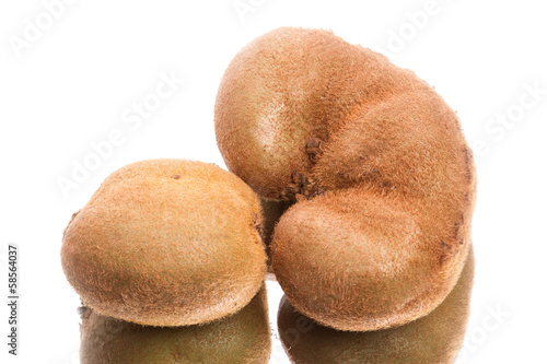 Photo: Big kiwi Big kiwi