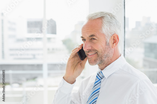 Photo: Smiling mature businessman using mobile phone in office Smiling mature businessman using mobile phone in office