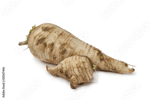 Photo: Fresh homegrown parsnip Fresh homegrown parsnip