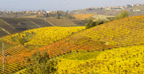 Photo: Monferrato vineyards in autumn panorama color image Monferrato vineyards in autumn panorama color image