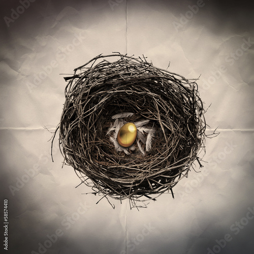 Photo: golden egg paper backdrop golden egg paper backdrop