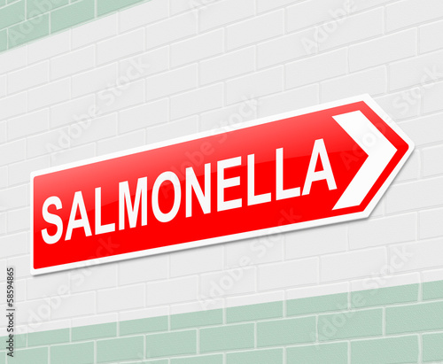 Illustration: Salmonella concept. Salmonella concept.