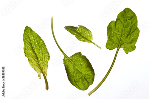 Photo: Fresh raw spinach leaves Fresh raw spinach leaves