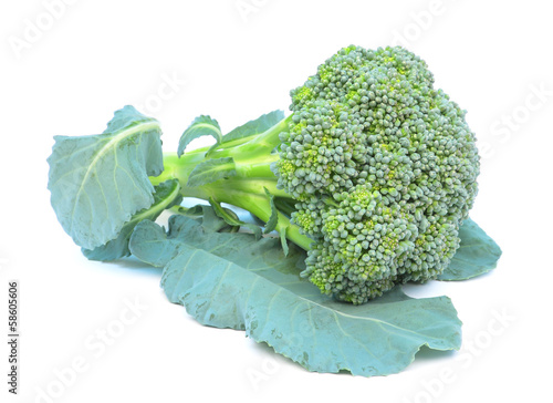 Photo: Broccoli isolated on white Broccoli isolated on white