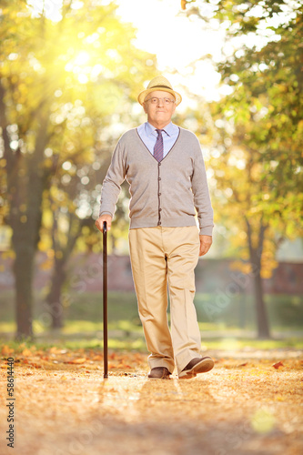 Photo: Senior gentleman walking in a park, on a sunny day in autumn Senior gentleman walking in a park, on a sunny day in autumn