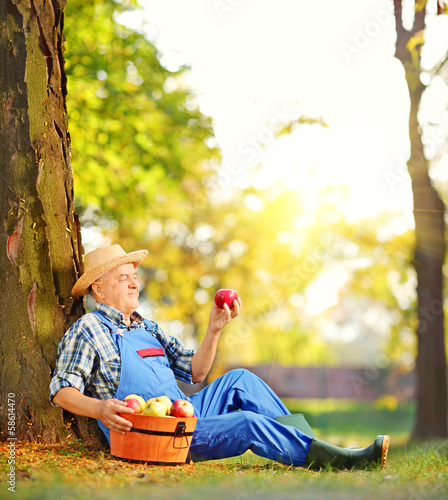 Photo: Male worker with basket of apples sitting in orchard and looking Male worker with basket of apples sitting in orchard and looking