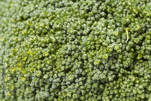 Photo: Broccoli Broccoli