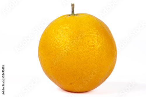 Photo: Orange Orange