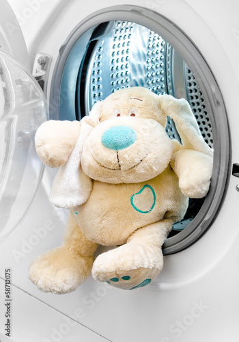 Photo: washing machine and dog in clothes (delicate wash) washing machine and dog in clothes (delicate wash)