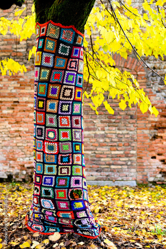 Photo: alberi vestiti - dressed trees alberi vestiti - dressed trees